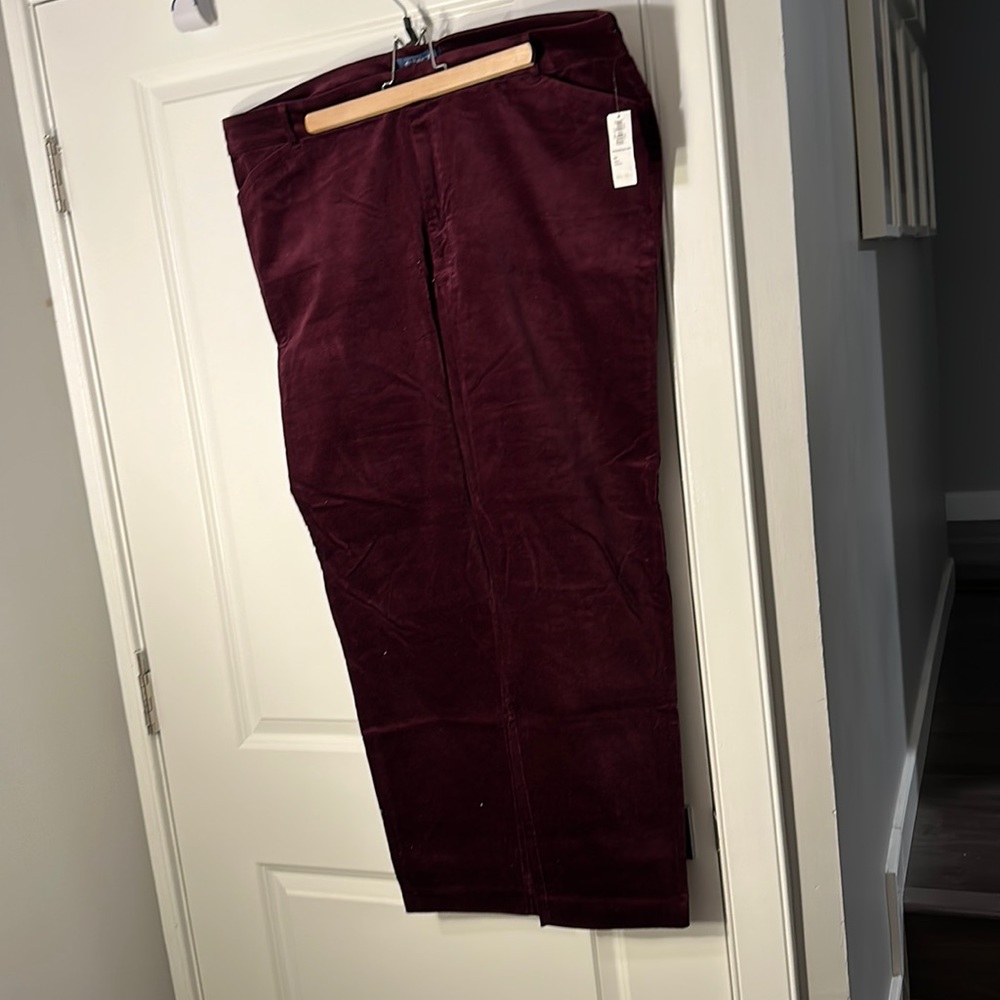 Velvet Pixie Pants
